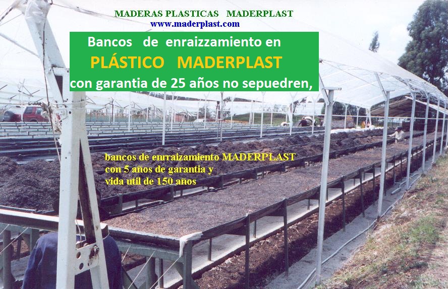banco para cultivar plantas sembrar plantar germinar enraizar sustrato tierra vegetal cultivo tecnificado de flores legumbres arboles plantas hortalizas en mesón mesa para germinar propagar 001 banco para cultivar plantas sembrar plantar germinar enraizar sustrato tierra vegetal cultivo tecnificado de flores legumbres arboles plantas hortalizas en mesón mesa para germinar propagar 001 0 80 50 9 banco para cultivar plantas sembrar plantar germinar enraizar sustrato tierra vegetal cultivo tecnificado de flores legumbres arboles plantas hortalizas en mesón mesa para germinar propagar 001 05 0 6 banco para cultivar plantas sembrar plantar germinar enraizar sustrato tierra vegetal cultivo tecnificado de flores legumbres arboles plantas hortalizas en mesón mesa para germinar propagar 001